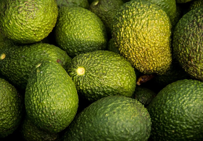 Healthy Fats